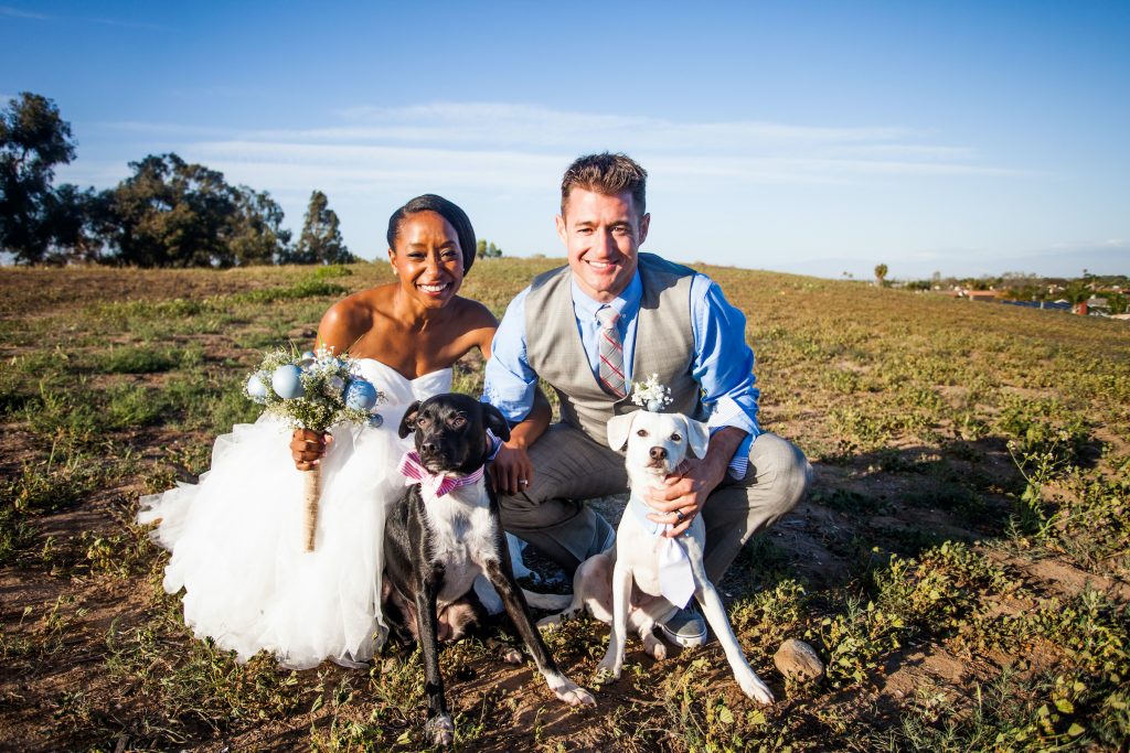 Well Being Weddings Couple with Dogs Small