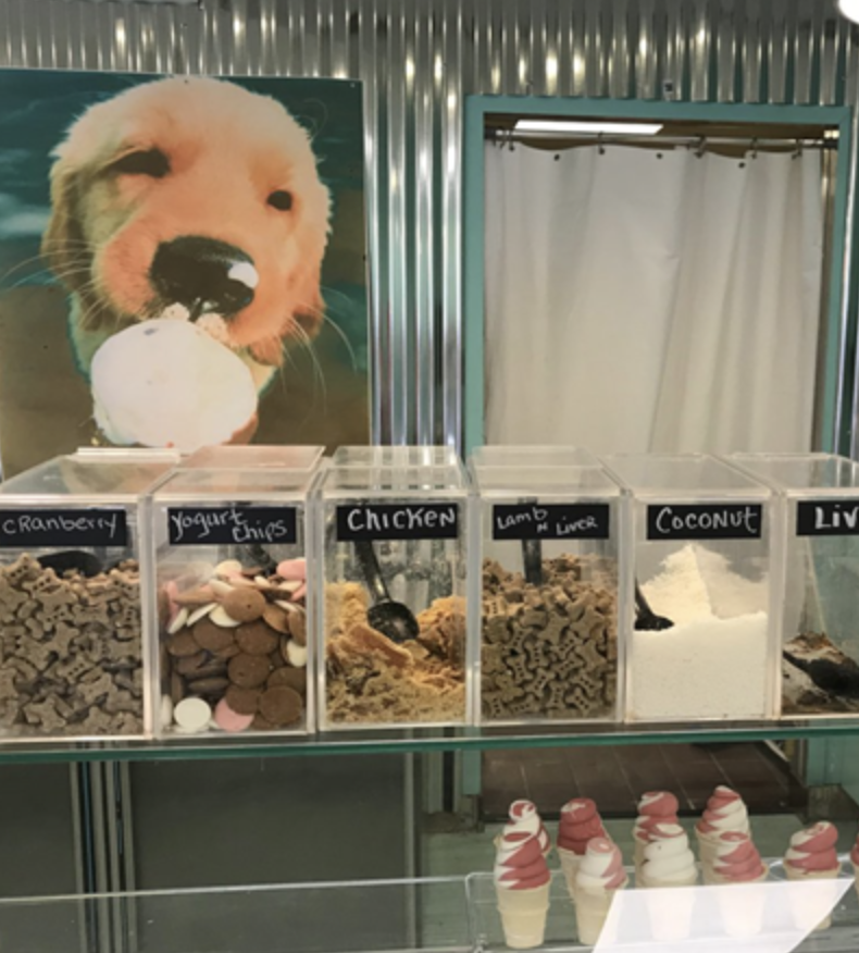 salty paws pet store rehoboth beach delaware