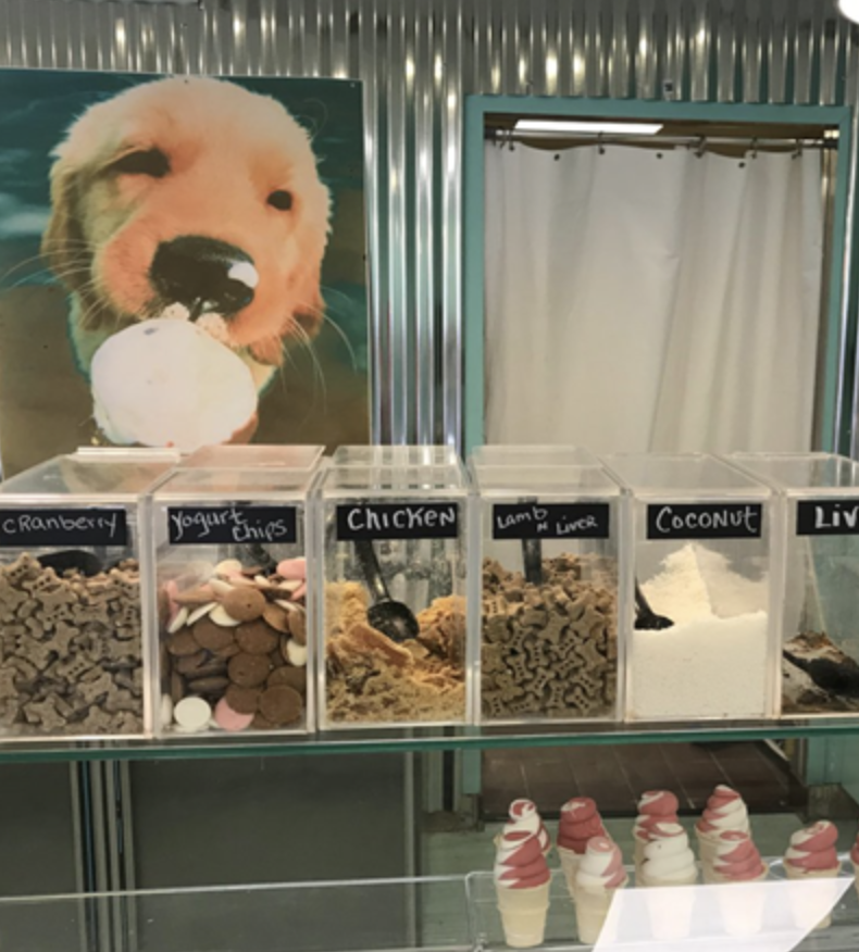 4 Best Pet Stores In Rehoboth Beach Delaware Canalside Inn