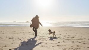 Unleash-the-Perfect-Pet-Friendly-Getaway-at-a-Rehoboth-Beach-Pet-Friendly-Hotel