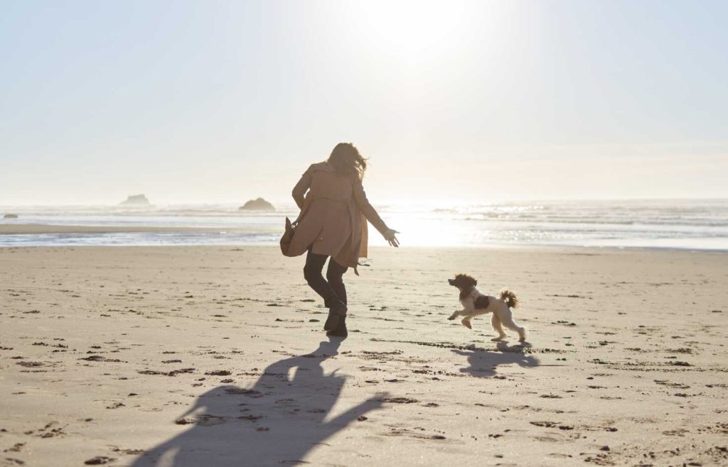 Unleash-the-Perfect-Pet-Friendly-Getaway-at-a-Rehoboth-Beach-Pet-Friendly-Hotel