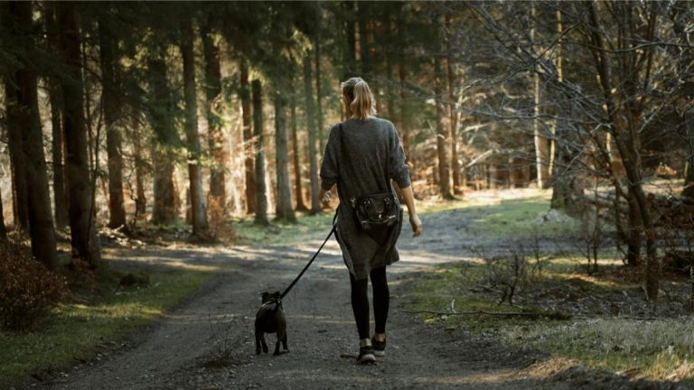 Delaware-Pet-Friendly-trails-Lodging