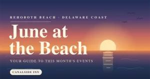 Things to do in rehoboth beach