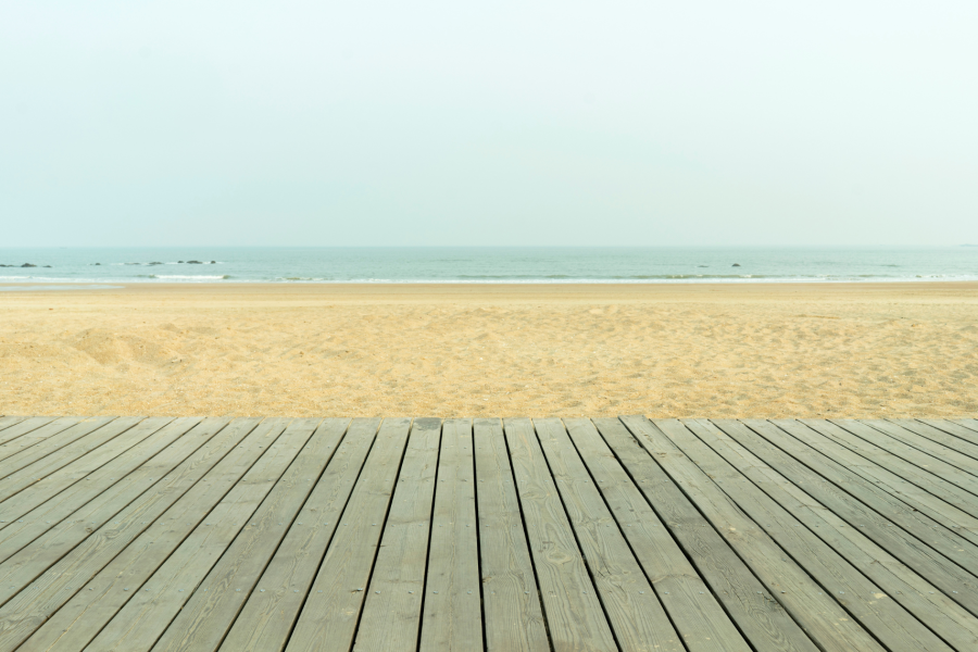 The Ultimate Guide to Dog-Friendly Beaches and the Rehoboth Boardwalk